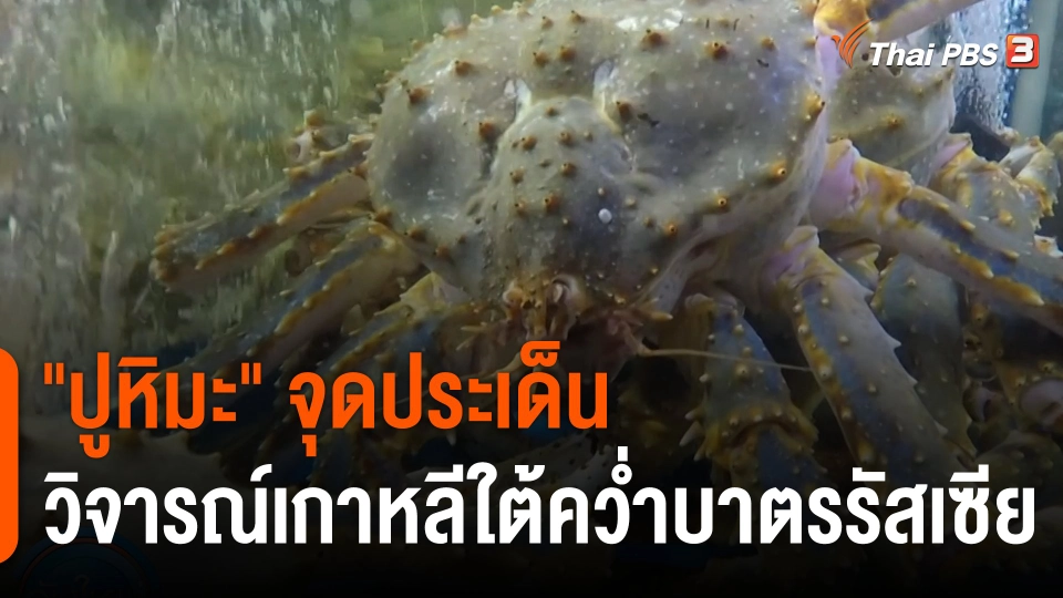 "ปูหิมะ" จุดประเด็นวิจารณ์เกาหลีใต้คว่ำบาตรรัสเซีย