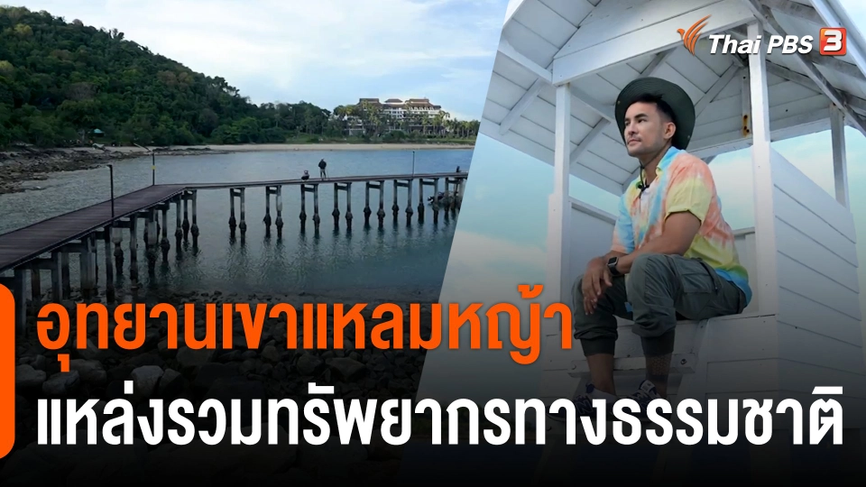 สีสันวาไรตี้ : อุทยานเขาแหลมหญ้า แหล่งรวมทรัพยากรทางธรรมชาติ จ.ระยอง