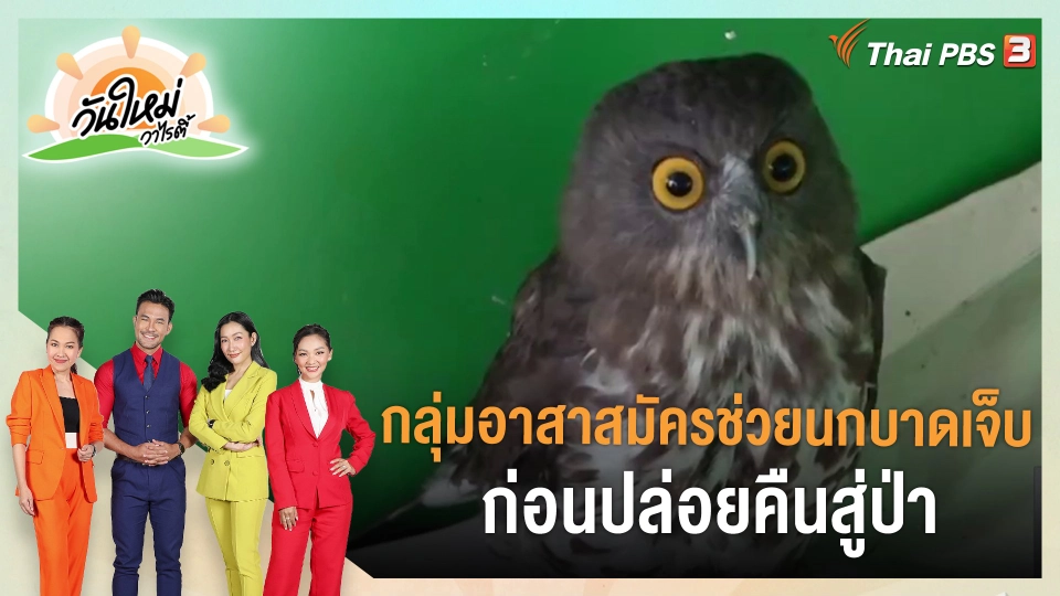 ​ประเด็นสังคม : กลุ่มอาสาสมัครช่วยนกบาดเจ็บ ก่อนปล่อยคืนสู่ป่า