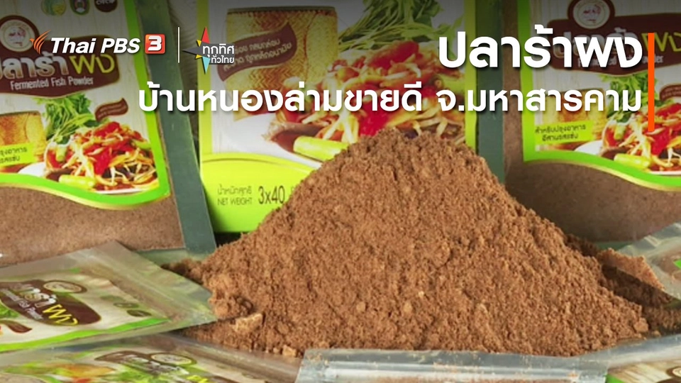 อาชีพทั่วไทย : ปลาร้าผงบ้านหนองล่ามขายดี จ.มหาสารคาม