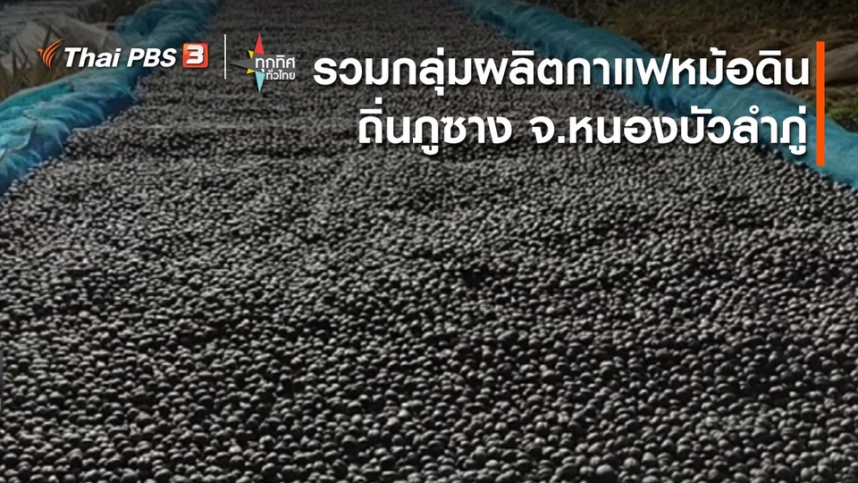 อาชีพทั่วไทย : รวมกลุ่มผลิตกาแฟหม้อดินถิ่นภูซาง จ.หนองบัวลำภู