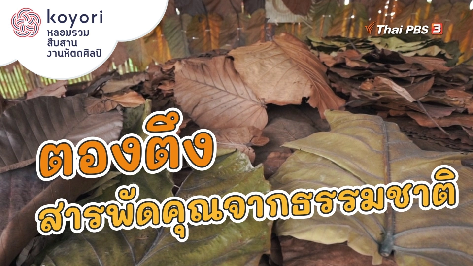 "ตองตึง" สารพัดคุณจากธรรมชาติ