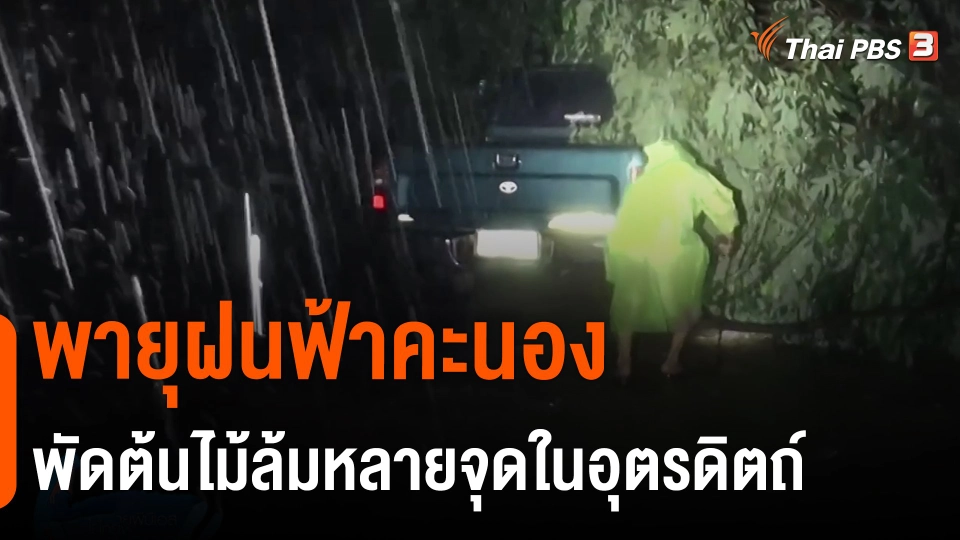 ​พายุฝนฟ้าคะนองพัดต้นไม้ล้มหลายจุดในอุตรดิตถ์