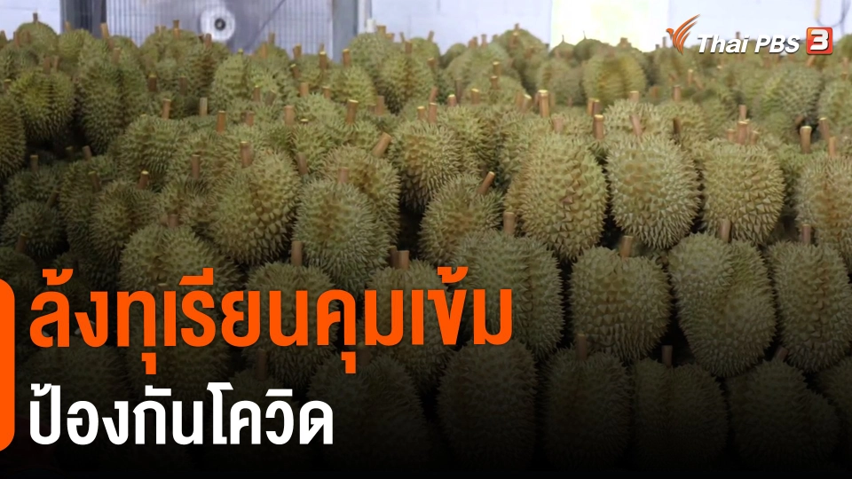​กินอยู่รู้รอบ : ล้งทุเรียนคุมเข้มป้องกันโควิด