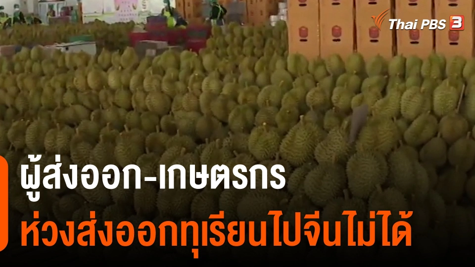 จับสัญญาณเศรษฐกิจ : ผู้ส่งออก-เกษตรกร ห่วงส่งออกทุเรียนไปจีนไม่ได้​