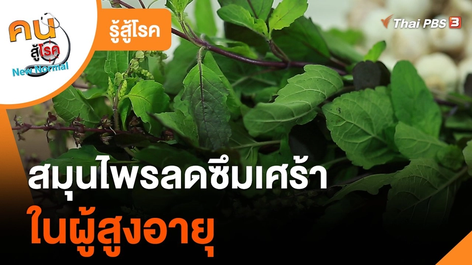 รู้สู้โรค : สมุนไพรลดซึมเศร้าในผู้สูงอายุ