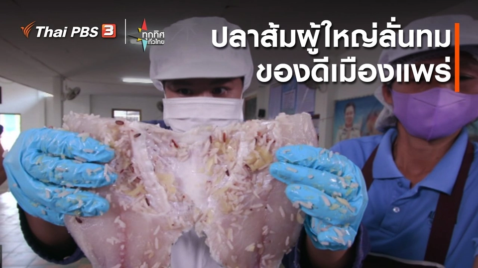 อาชีพทั่วไทย : ปลาส้มผู้ใหญ่ลั่นทมของดีเมืองแพร่