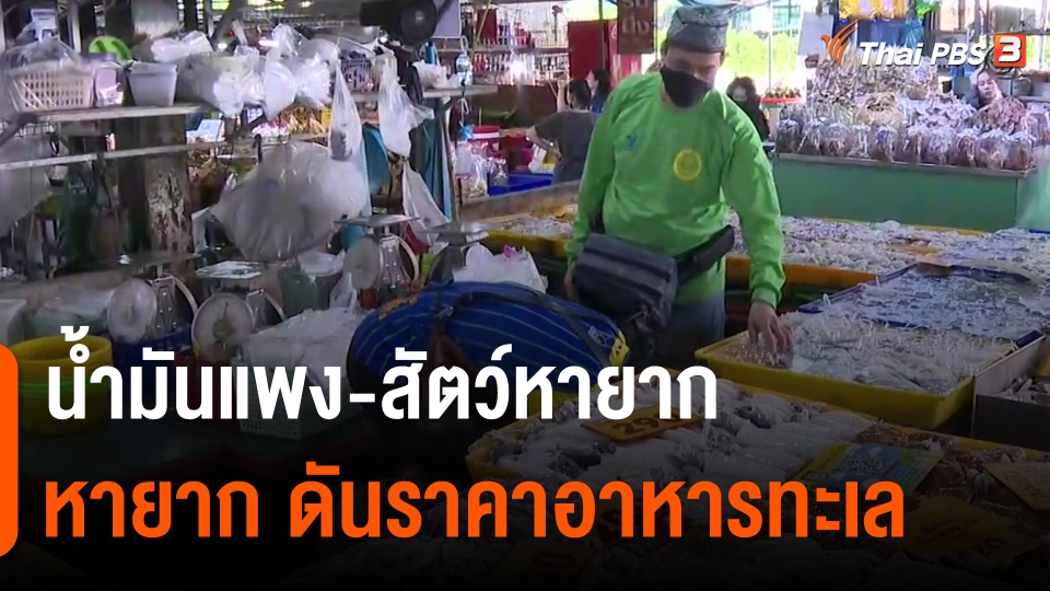 ​จับสัญญาณเศรษฐกิจ : น้ำมันแพง-สัตว์หายาก ดันราคาอาหารทะเล​