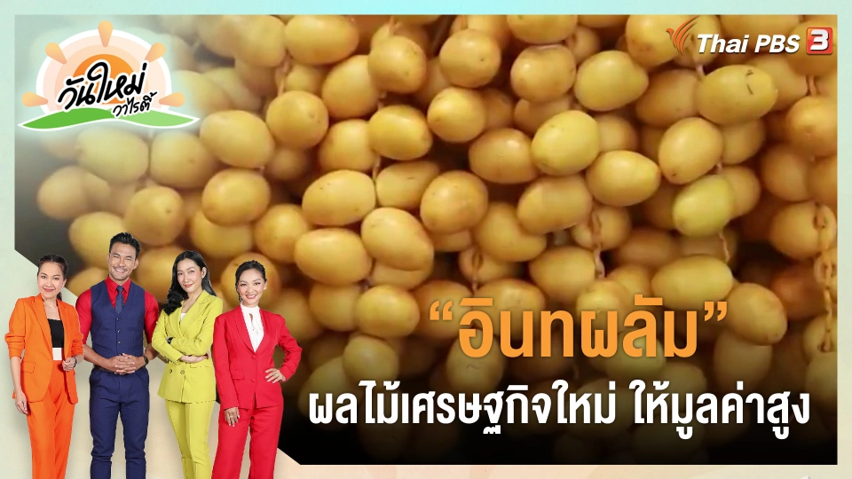 ​ดอกผลของความยั่งยืน : "อินทผลัม" ผลไม้เศรษฐกิจใหม่ ให้มูลค่าสูง