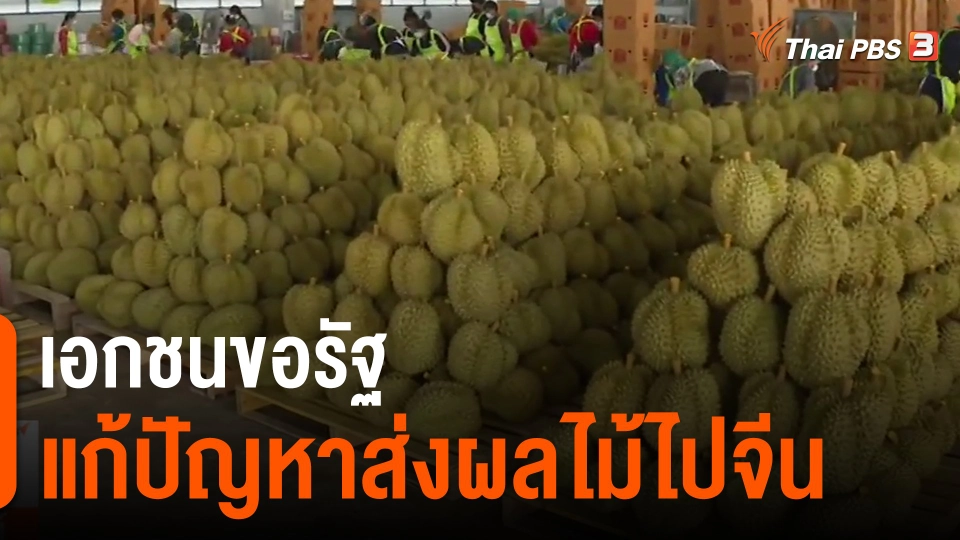 ​จับสัญญาณเศรษฐกิจ : เอกชนขอรัฐแก้ปัญหาส่งผลไม้ไปจีน​