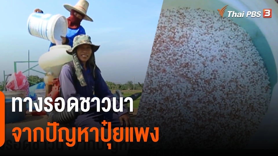 ทางรอดชาวนาจากปัญหาปุ๋ยแพง