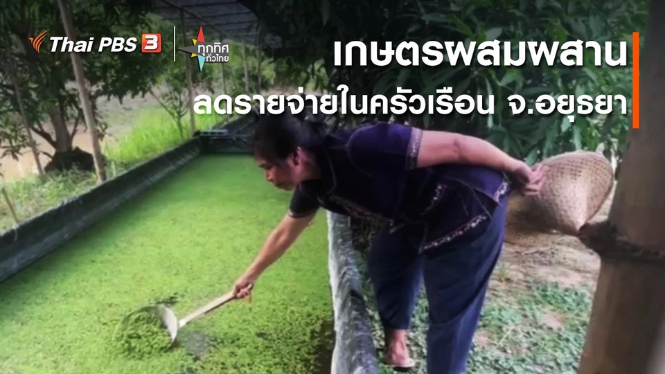 อาชีพทั่วไทย : เกษตรผสมผสานลดรายจ่ายในครัวเรือน จ.อยุธยา