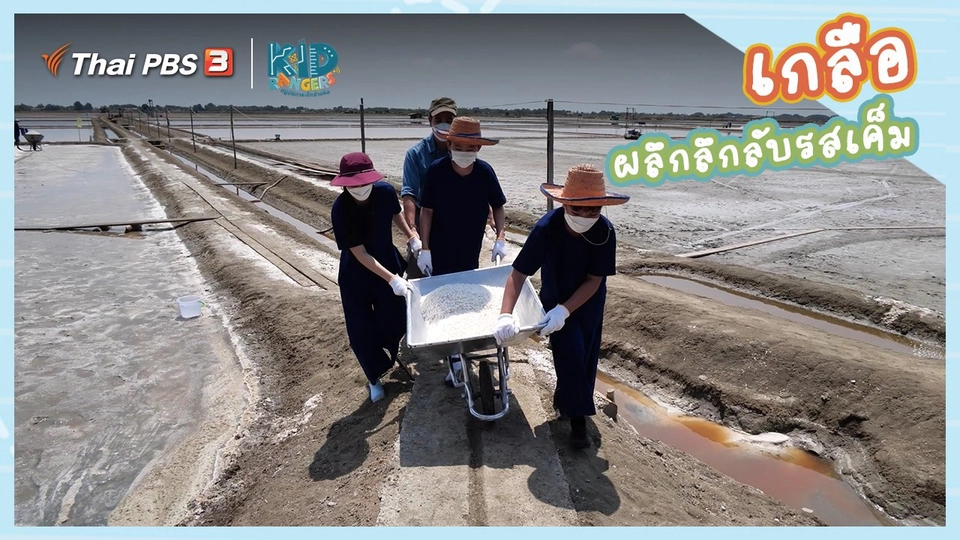 ​คิดส์เรียนรู้ : “เกลือ” ผลึกลึกลับรสเค็ม