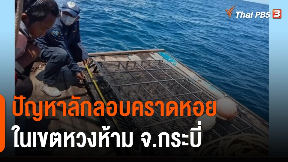 สถานีร้องเรียน : ปัญหาลักลอบคราดหอย ในเขตหวงห้าม จ.กระบี่