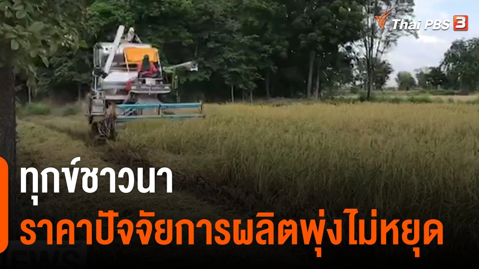 จับสัญญาณเศรษฐกิจ : ทุกข์ชาวนา ราคาปัจจัยการผลิตพุ่งไม่หยุด