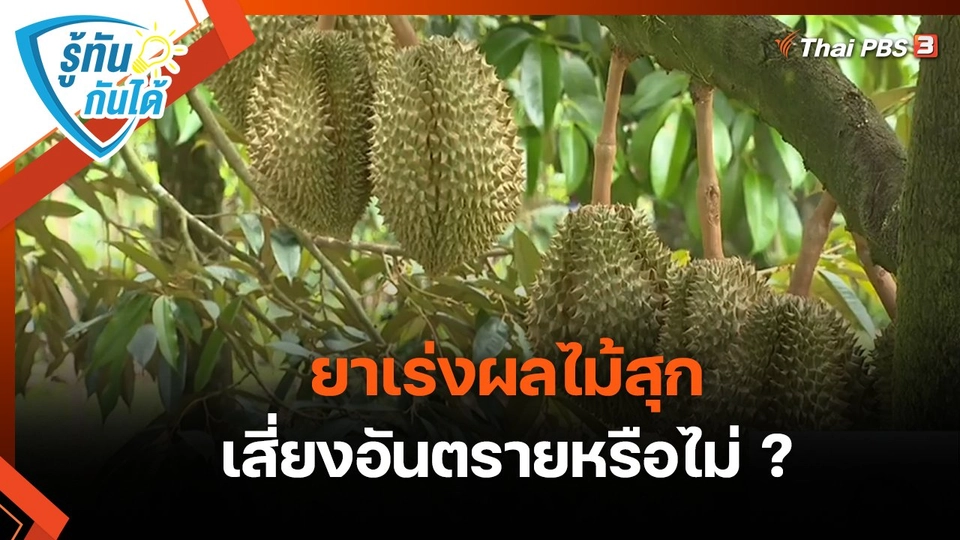 รู้ทันกันได้ : ยาเร่งผลไม้สุก เสี่ยงอันตรายหรือไม่ ?