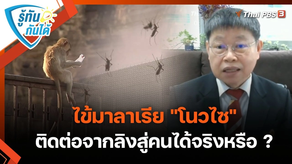 รู้ทันกันได้ : ไข้มาลาเรีย "โนวไซ" ติดต่อจากลิงสู่คนได้จริงหรือ ?