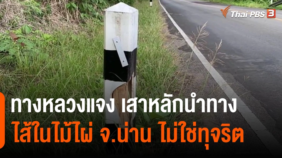 ​ทางหลวงแจง เสาหลักนำทางไส้ในไม้ไผ่ จ.น่าน ไม่ใช่ทุจริต