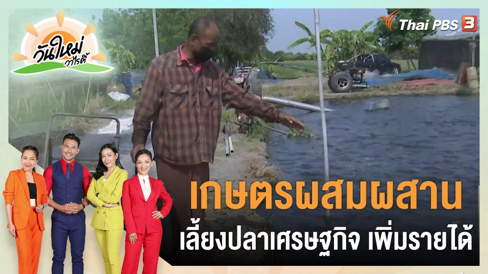 ดอกผลของความยั่งยืน : เกษตรผสมผสาน เลี้ยงปลาเศรษฐกิจ เพิ่มรายได้