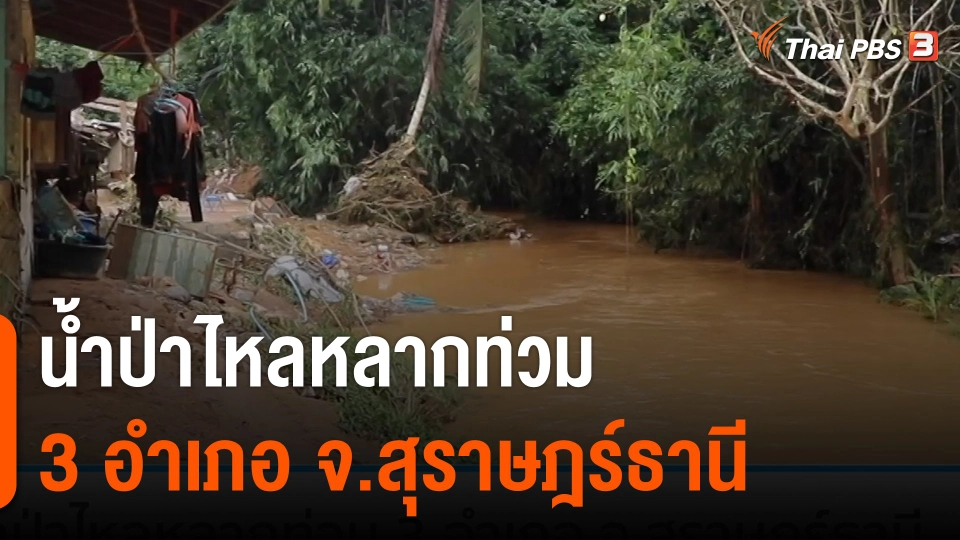 น้ำป่าไหลหลากท่วม 3 อำเภอ จ.สุราษฎร์ธานี