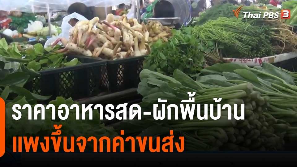 กินอยู่รู้รอบ : ราคาอาหารสด-ผักพื้นบ้านสงขลา เเพงขึ้นจากค่าขนส่ง