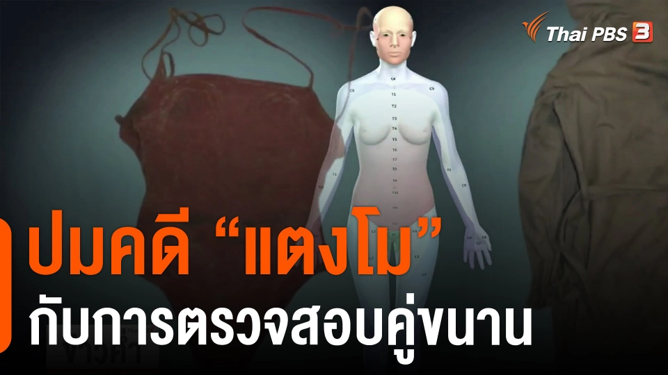 ปมคดีแตงโมกับการตรวจสอบคู่ขนาน