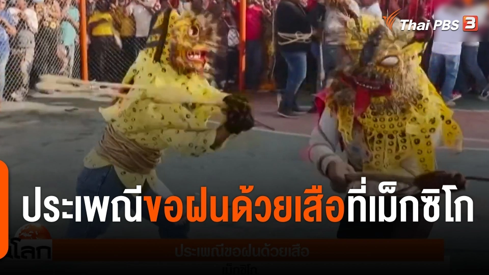 ประเพณีขอฝนด้วยเสือที่เม็กซิโก