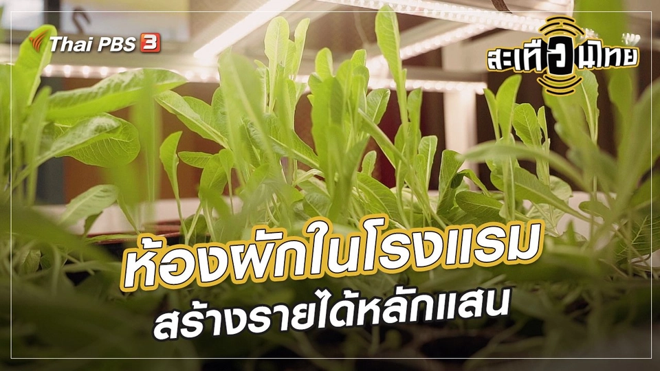 นักสร้างความเปลี่ยนแปลง : ห้องผักในโรงแรม สร้างรายได้หลักแสน