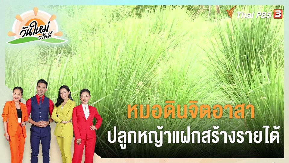 ​พอดีพอเพียง : หมอดินจิตอาสา ปลูกหญ้าแฝกสร้างรายได้