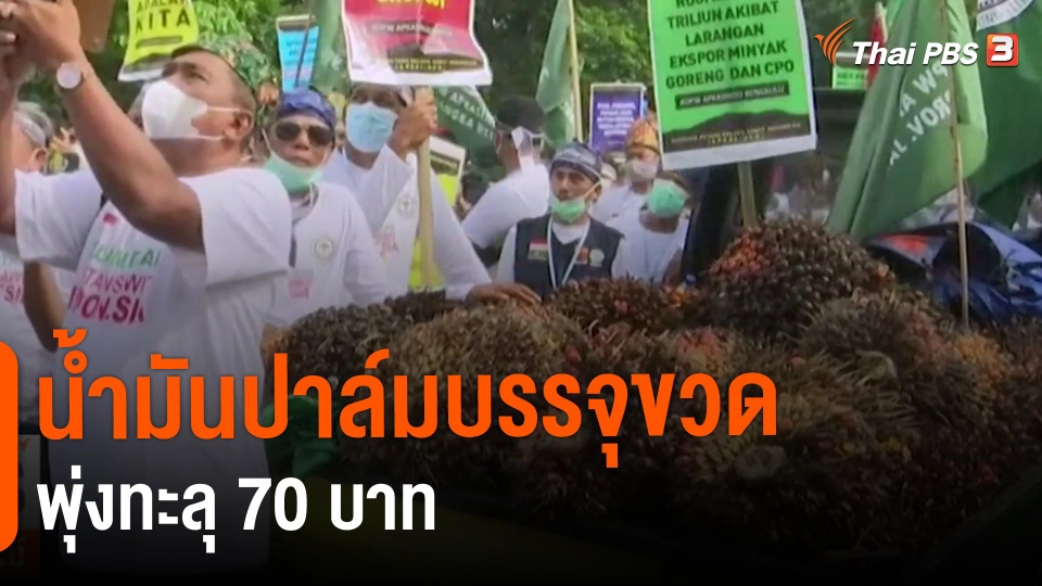 ​น้ำมันปาล์มบรรจุขวดพุ่งทะลุ 70 บาท