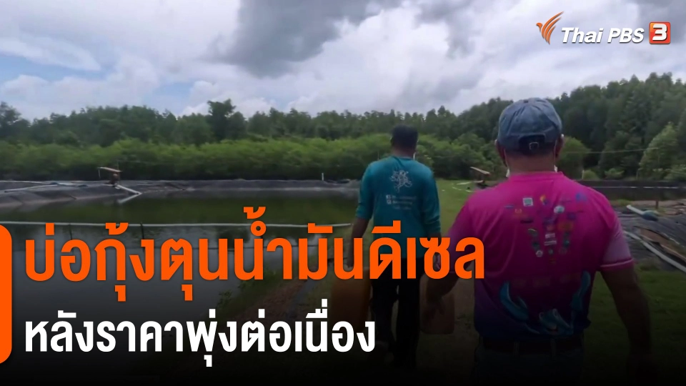 ​บ่อกุ้งตุนน้ำมันดีเซลหลังราคาพุ่งต่อเนื่อง