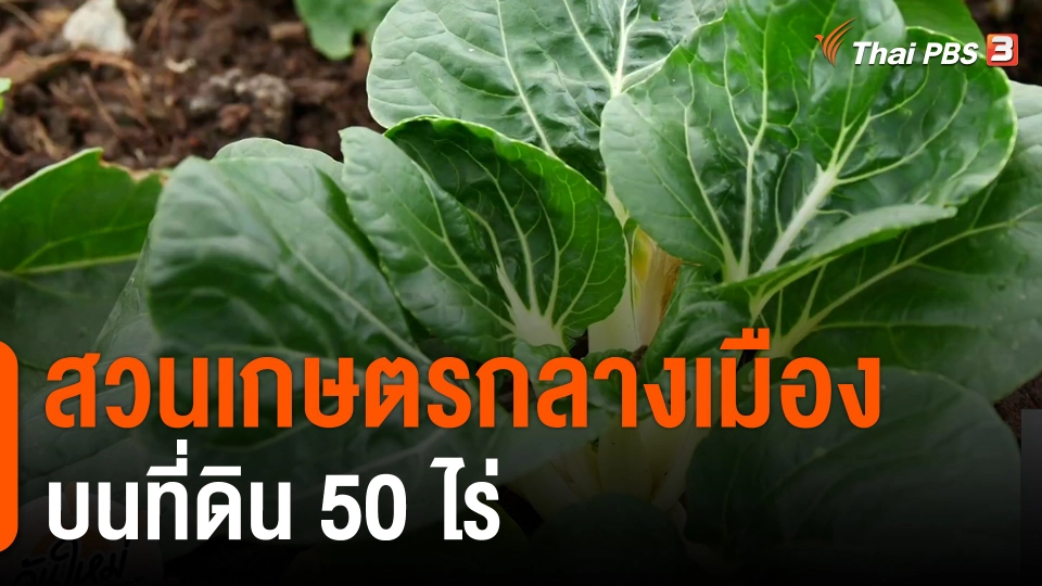 พอดีพอเพียง : สวนเกษตรกลางเมือง บนที่ดิน 50 ไร่