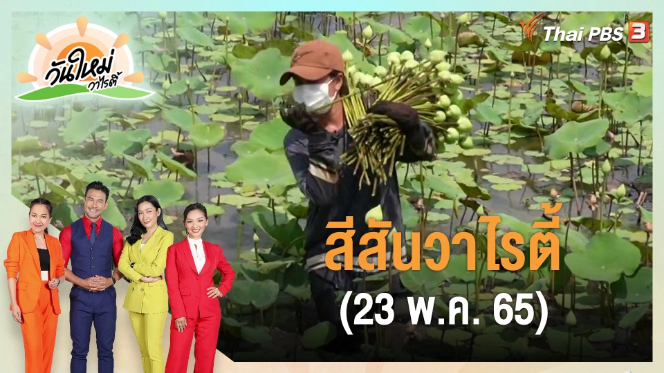 ​สีสันวาไรตี้ (23 พ.ค. 65)