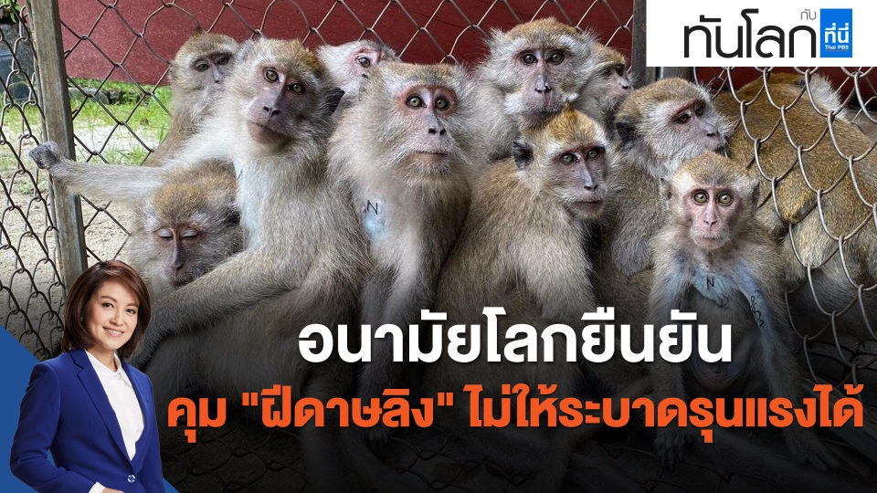 อนามัยโลกยืนยันคุม "ฝีดาษลิง" ไม่ให้ระบาดรุนแรงได้