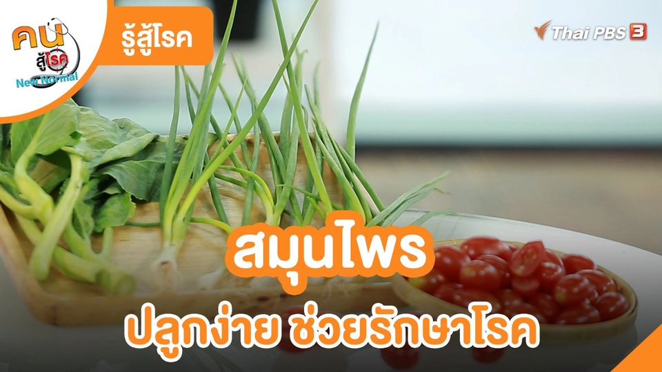 รู้สู้โรค : สมุนไพร ปลูกง่าย ช่วยรักษาโรค