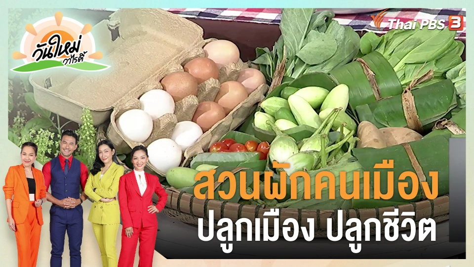 ประเด็นสังคม : สวนผักคนเมือง ปลูกเมือง ปลูกชีวิต