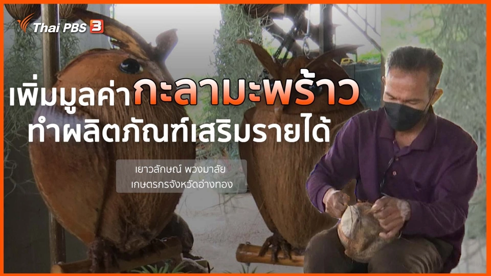 พอดีพอเพียง : เพิ่มมูลค่ากะลามะพร้าว ทำผลิตภัณฑ์เสริมรายได้