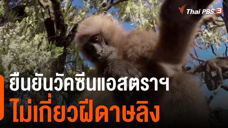 ​ยืนยันวัคซีนแอสตราฯ ไม่เกี่ยวฝีดาษลิง