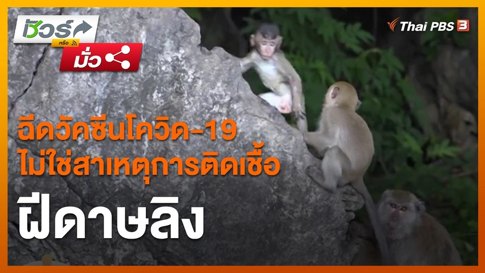 ​ชัวร์หรือมั่ว : ฉีดวัคซีนโควิด-19 ไม่ใช่สาเหตุการติดเชื้อฝีดาษลิง