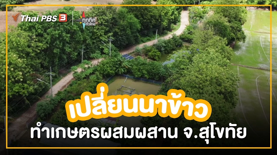 อาชีพทั่วไทย : เปลี่ยนนาข้าวทำเกษตรผสมผสาน จ.สุโขทัย