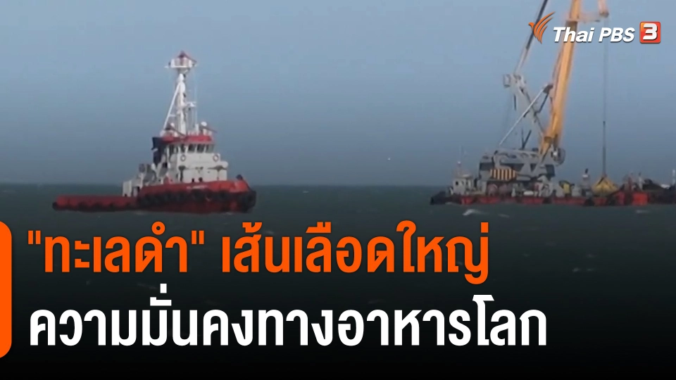 วิเคราะห์สถานการณ์ต่างประเทศ : "ทะเลดำ" เส้นเลือดใหญ่ความมั่นคงทางอาหารโลก