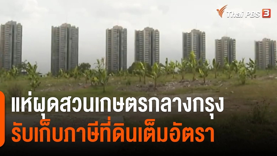 แห่ผุดสวนเกษตรกลางกรุง รับเก็บภาษีที่ดินเต็มอัตรา