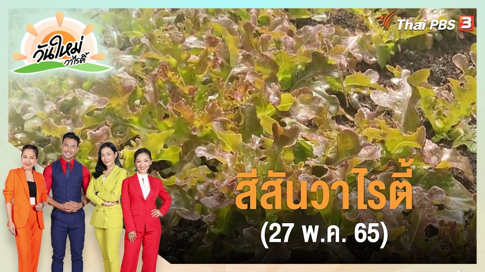 ​สีสันวาไรตี้ (27 พ.ค. 65)