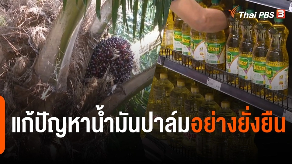 จับสัญญาณเศรษฐกิจ : แก้ปัญหาน้ำมันปาล์มอย่างยั่งยืน