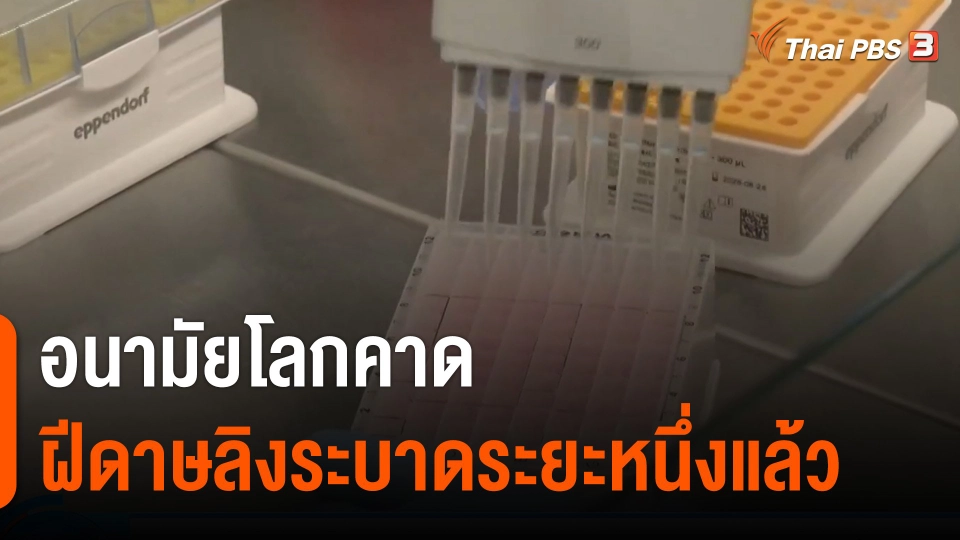 อนามัยโลกคาดฝีดาษลิงระบาดระยะหนึ่งแล้ว