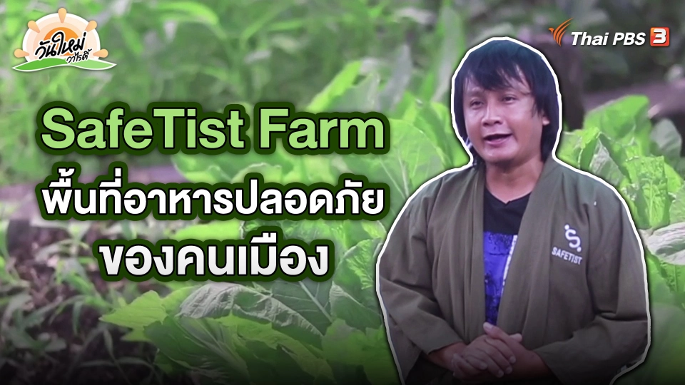 พอดีพอเพียง : SafeTist Farm พื้นที่อาหารปลอดภัยของคนเมืองเพื่อคนเมือง