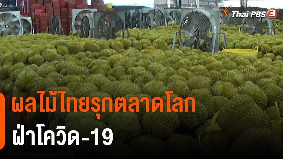 จับสัญญาณเศรษฐกิจ : ผลไม้ไทยรุกตลาดโลกฝ่าโควิด-19