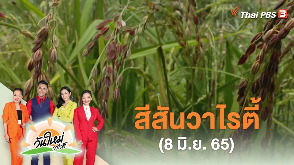 สีสันวาไรตี้ (8 มิ.ย. 65)
