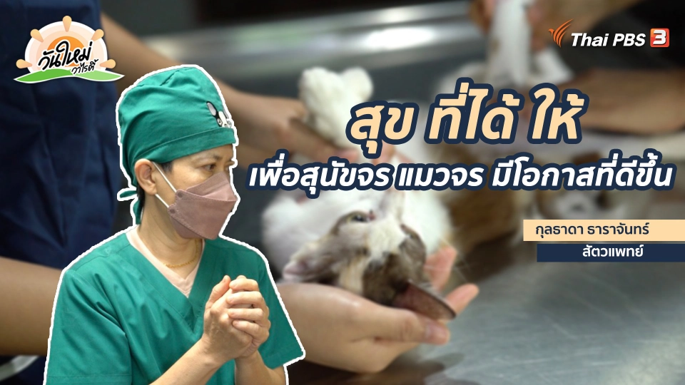 พอดีพอเพียง : สุขที่ได้ให้ เพื่อสุนัขจรแมวจรมีโอกาสที่ดีขึ้น