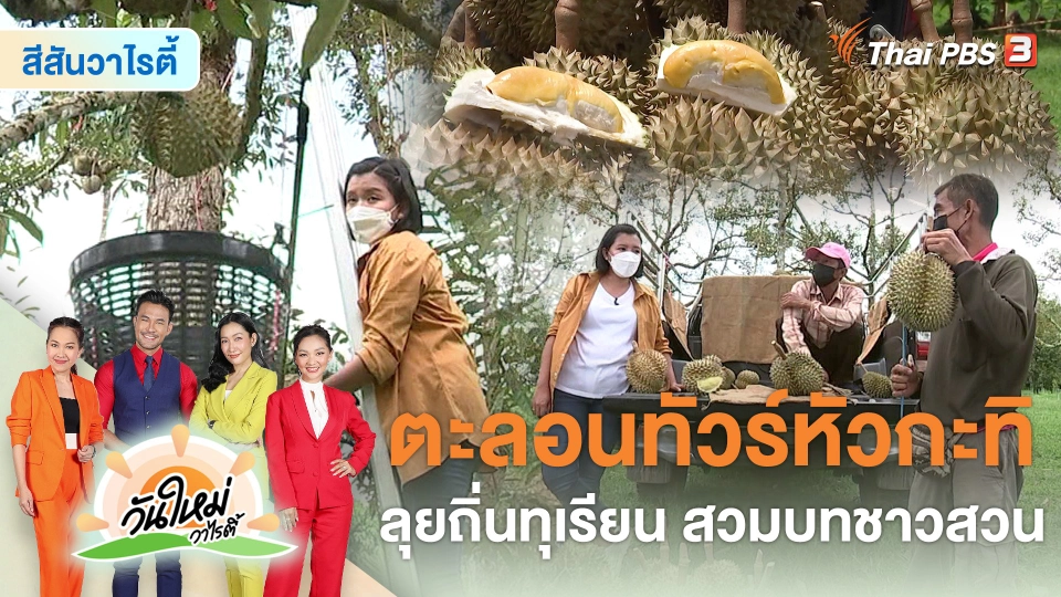 สีสันวาไรตี้ : ตะลอนทัวร์หัวกะทิ ลุยถิ่นทุเรียน สวมบทชาวสวน จ.จันทบุรี